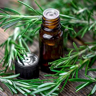 ROSEMARY OIL (Pure and Natural) - NorexMart.com
