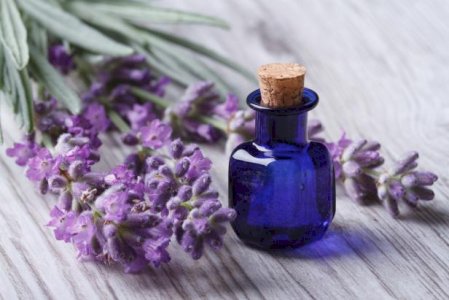 LAVENDER INDUSTRIAL FRAGRANCE