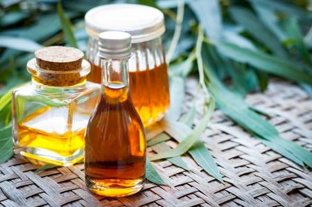 EUCALYPTUS OIL (Pure and Natural)