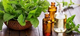 PEPPERMINT OIL (Pure and Natural)