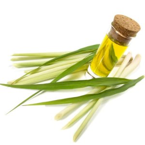 LEMONGRASS INDUSTRIAL FRAGRANCE
